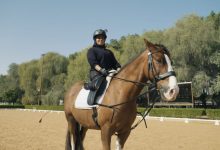 من الخيال إلى الواقع: قصة فارسة إماراتية هزمت المستحيل وحولت شغف الخيول إلى رسالة أمل 7 321641