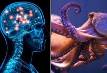 6973767d4c59b776746ad5f9