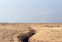 "تمزق القارة": كيف يسرّع التغير المناخي انقسام إفريقيا إلى جزأين؟ دراسة جيولوجية في 2026 تكشف دور الجفاف في "تصدع شرق إفريقيا" العظيم. 32 69787d7b4236041bcd68c857