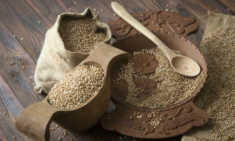 "سلة غذاء العالم": من دبي.. وزيرة الزراعة الروسية تكشف أرقاماً قياسية لمحصول الحبوب مطلع 2026.. وكيف سيطر القمح الروسي على الأسواق العالمية؟ 1 697896504c59b74ae12cef5e